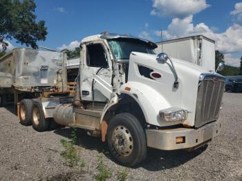  Salvage Peterbilt 567