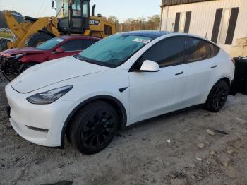  Salvage Tesla Model Y