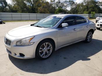  Salvage Nissan Maxima