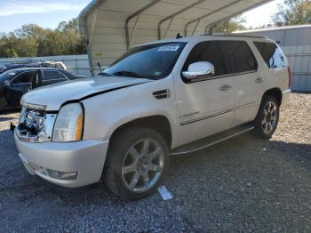  Salvage Cadillac Escalade