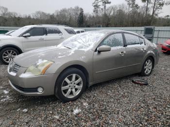  Salvage Nissan Maxima