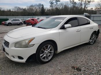  Salvage Nissan Maxima