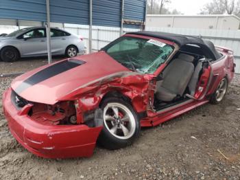  Salvage Ford Mustang