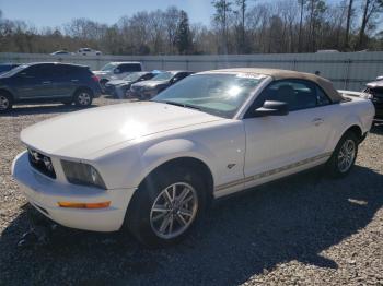  Salvage Ford Mustang