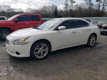  Salvage Nissan Maxima