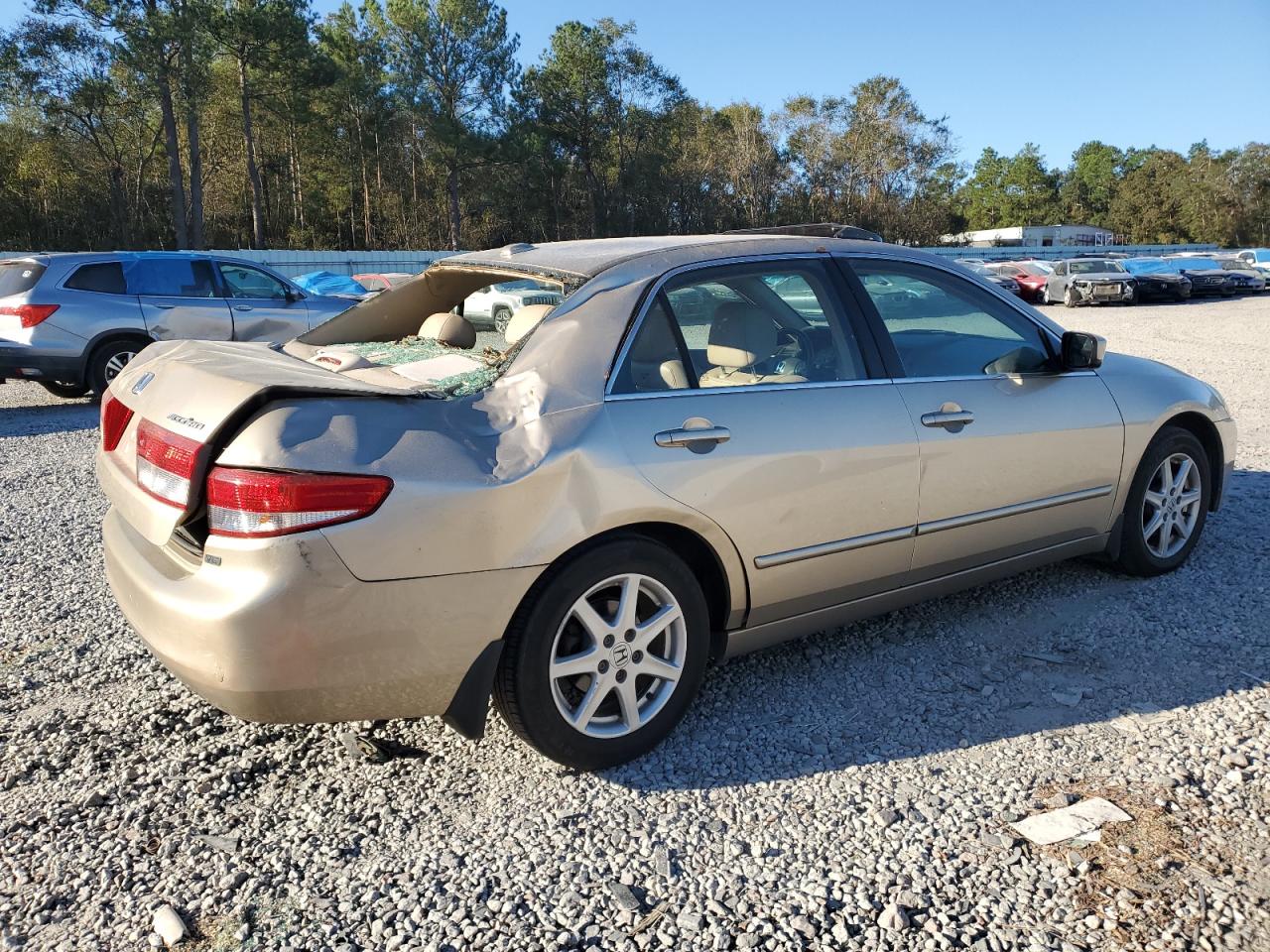 Honda Accord Ex Image 6