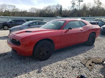  Salvage Dodge Challenger