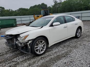  Salvage Nissan Maxima