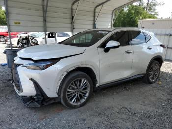  Salvage Lexus NX