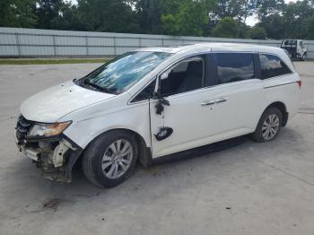  Salvage Honda Odyssey
