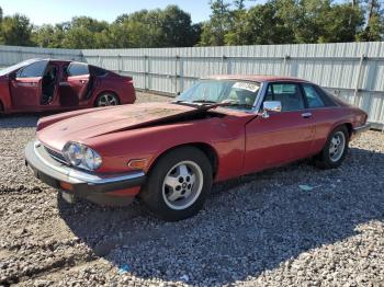 Salvage Jaguar Xjs