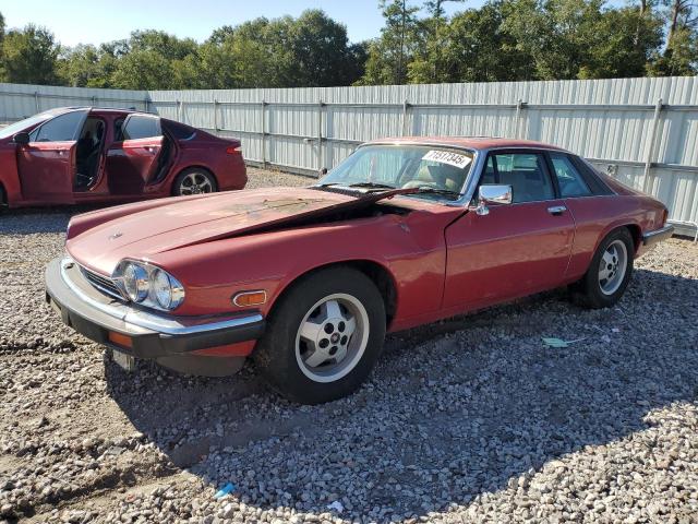  Salvage Jaguar Xjs