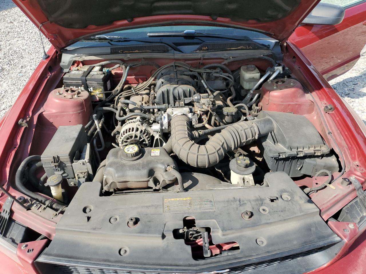 Ford Mustang Image 12