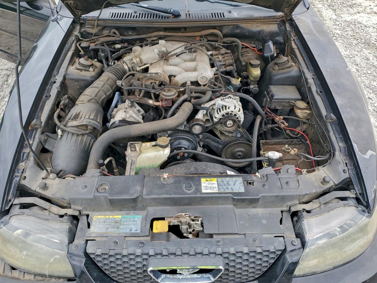 Ford Mustang Image 3