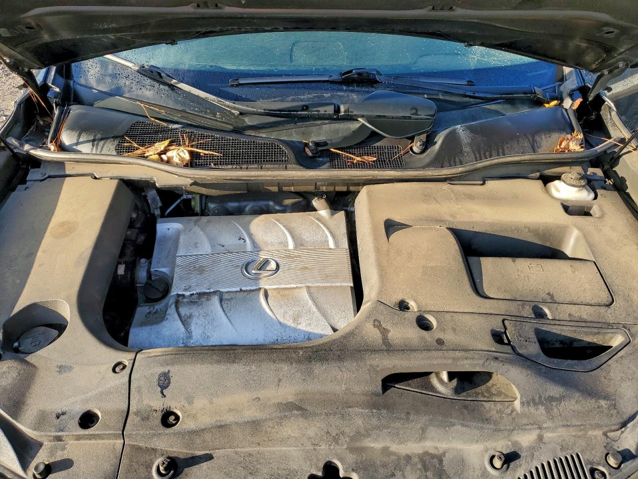 Lexus RX 350 Image 9