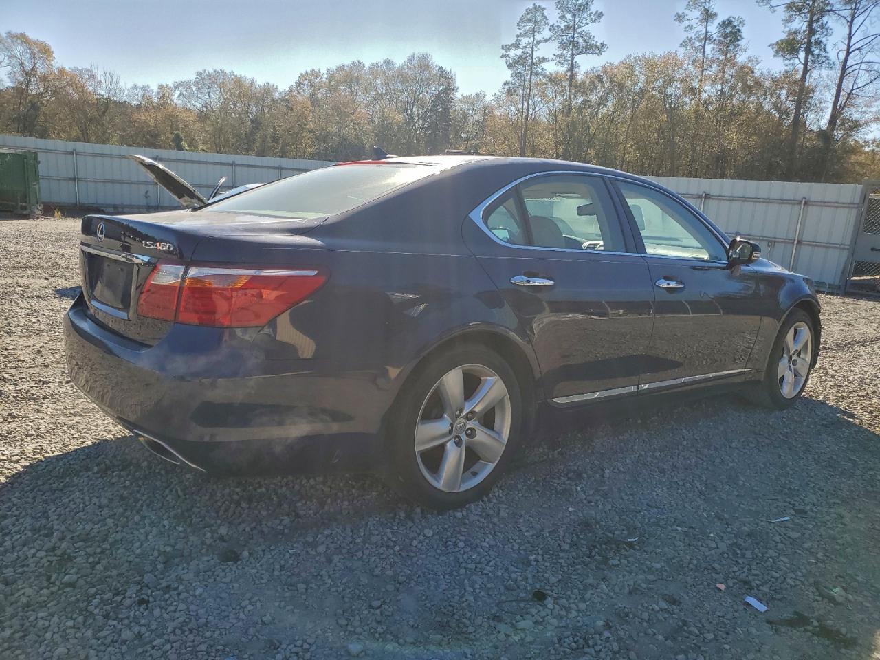 Lexus LS 460 Image 8