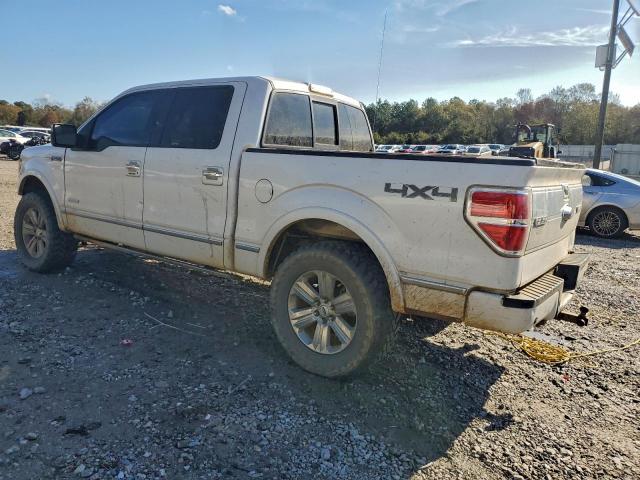 Ford F-150 Supercrew Image 2