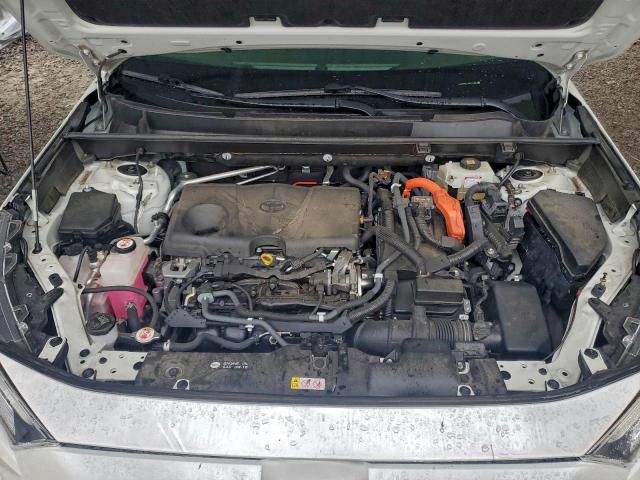 Toyota RAV4 Xle Premium Image 9