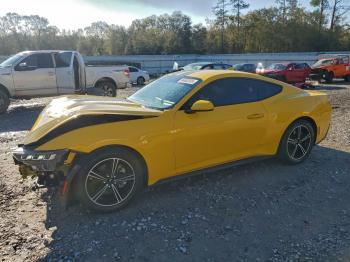  Salvage Ford Mustang