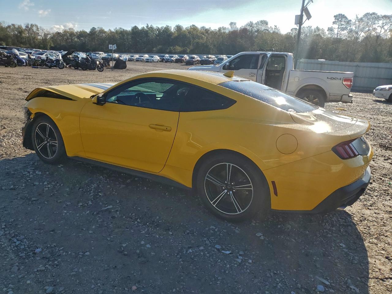 Ford Mustang Image 7