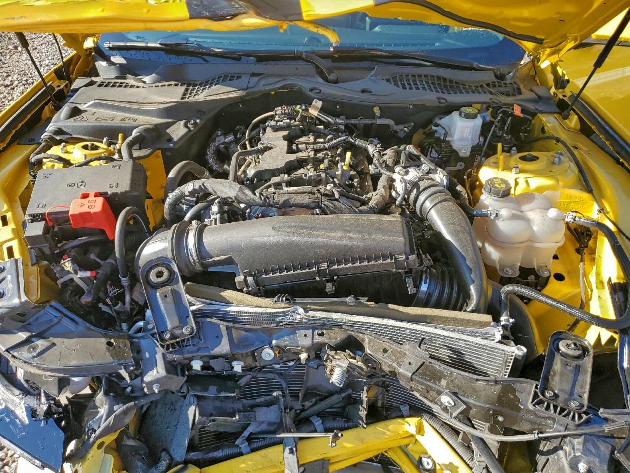 Ford Mustang Image 2