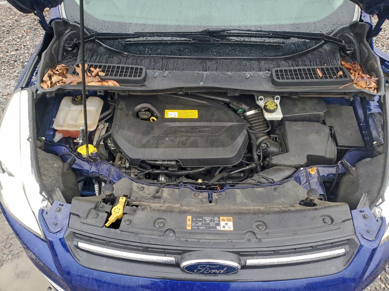 Ford Escape Se Image 7