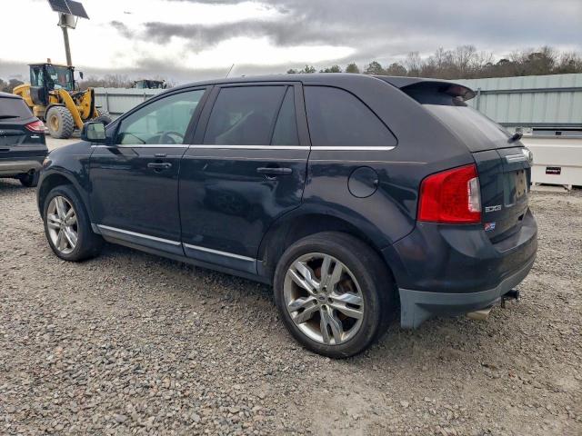 Ford Edge Limited Image 9