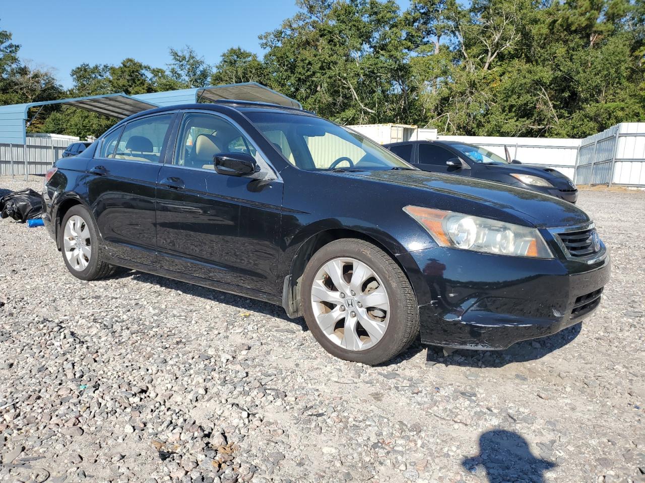 Honda Accord Exl Image 6