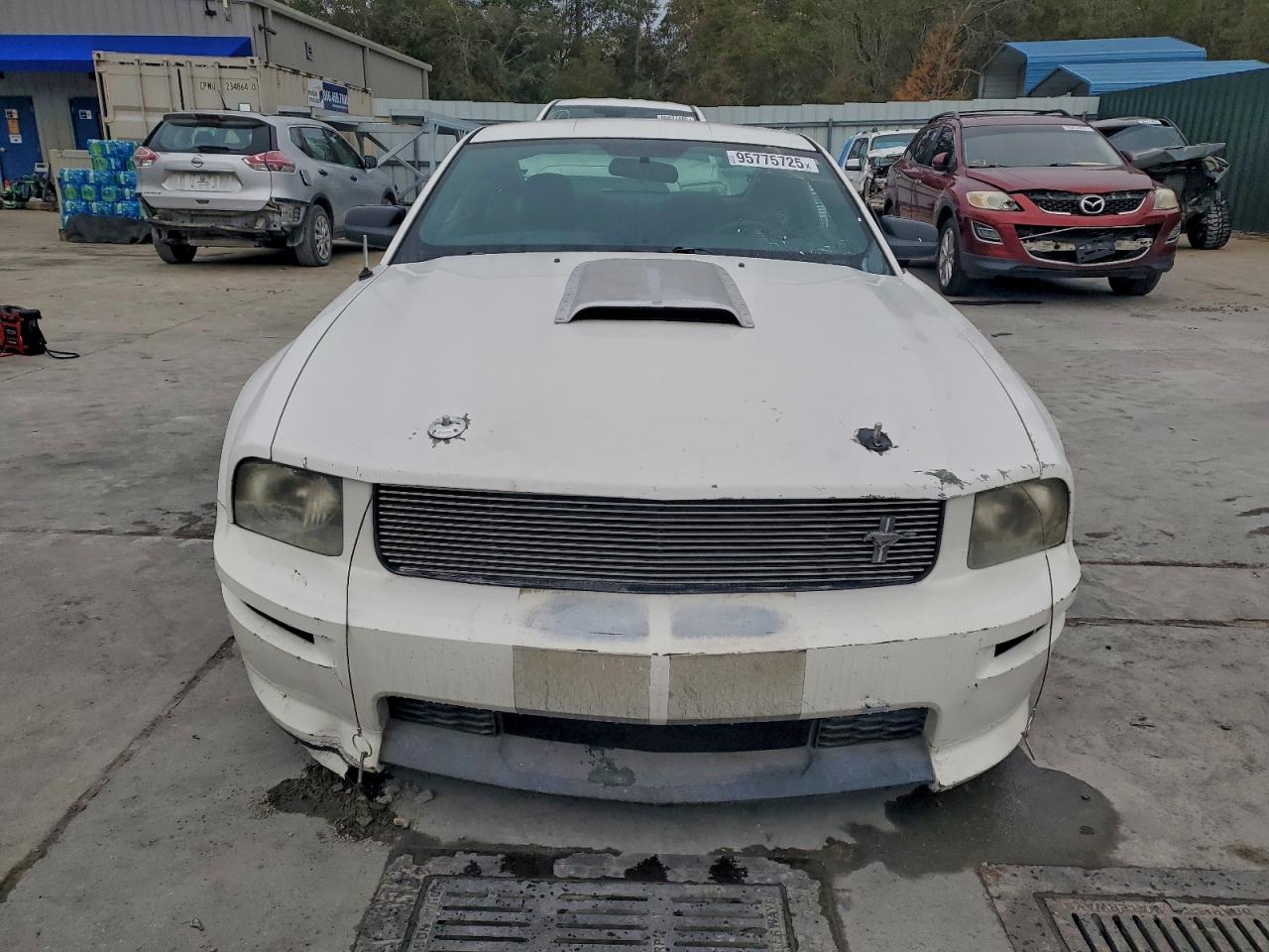 Ford Mustang Gt Image 10