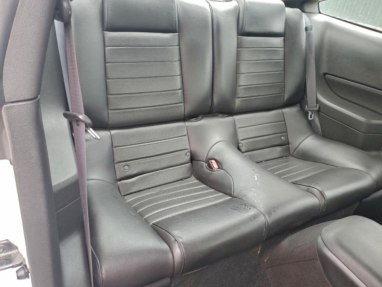 Ford Mustang Gt Image 11