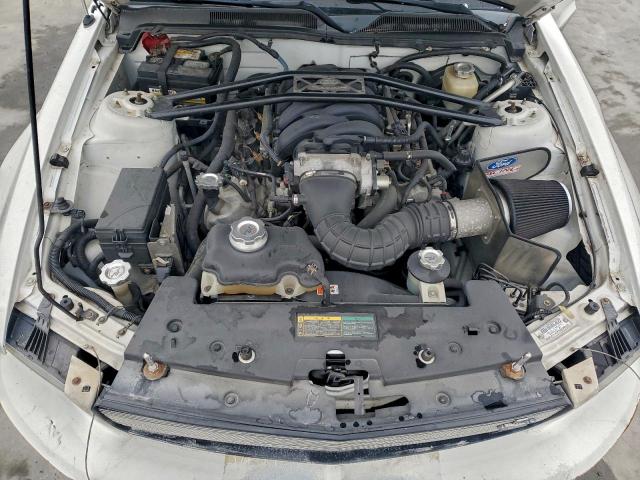 Ford Mustang Gt Image 7