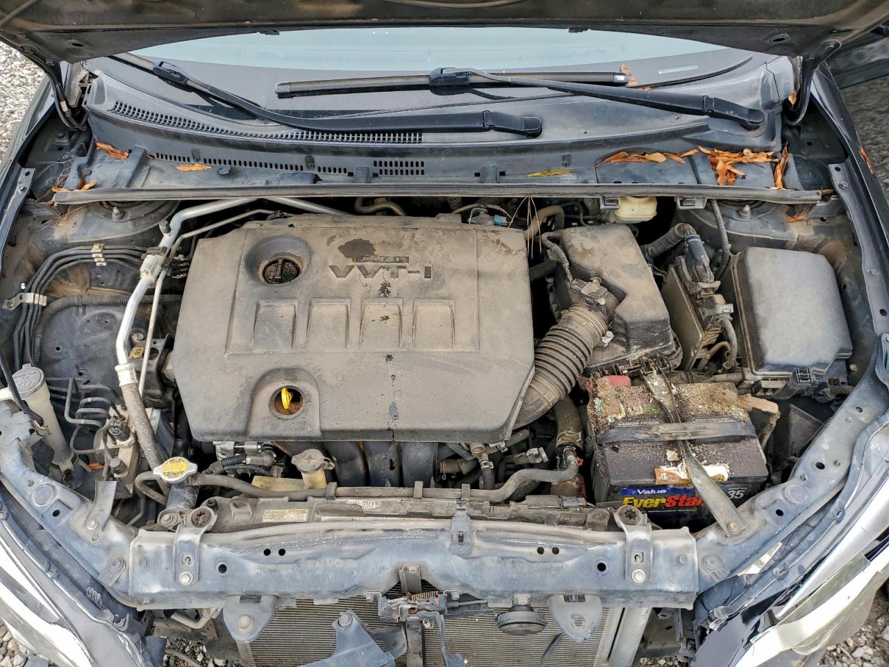 Toyota Corolla L Image 8