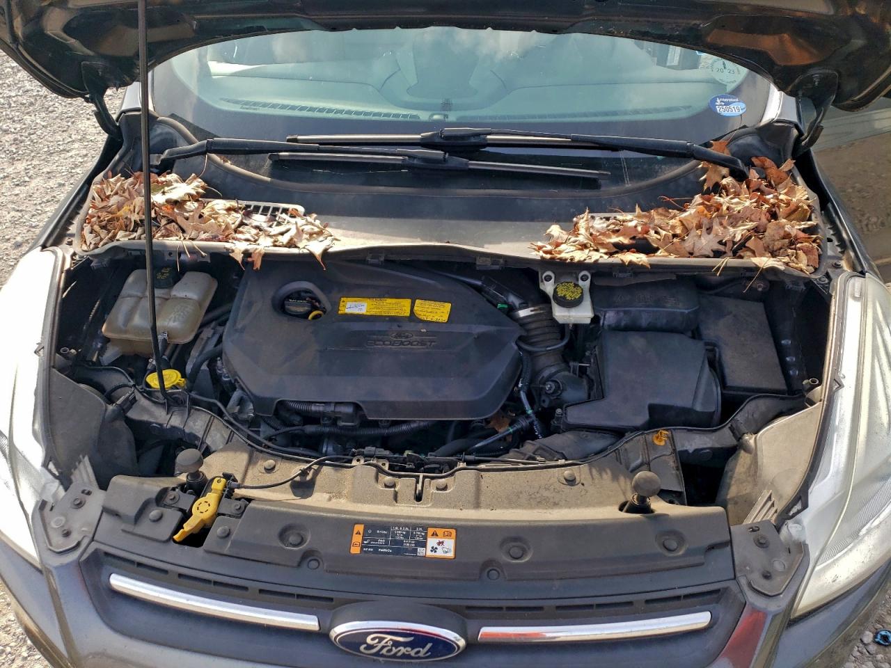 Ford Escape Se Image 10