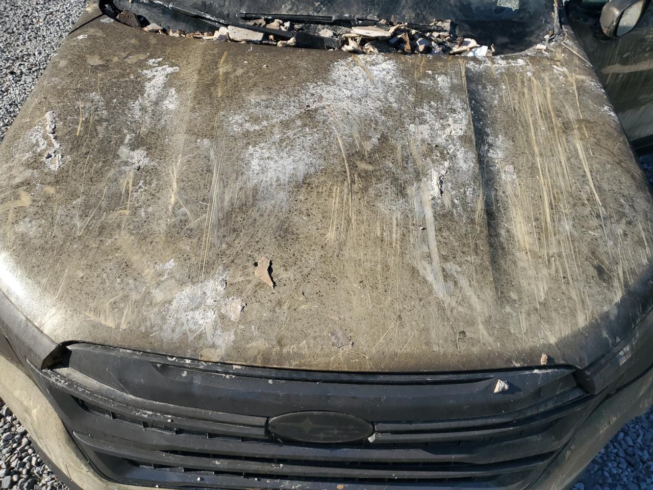 Subaru Forester Limited Image 8