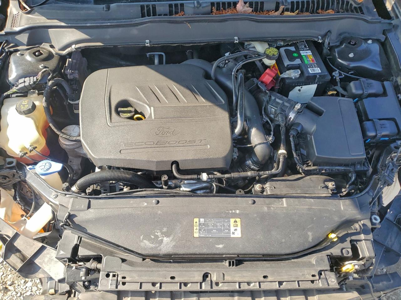 Ford Fusion Se Image 11